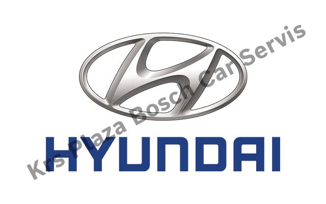 Hyundai Servisi