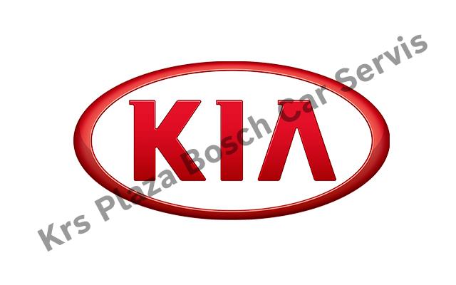 Kia Servisi
